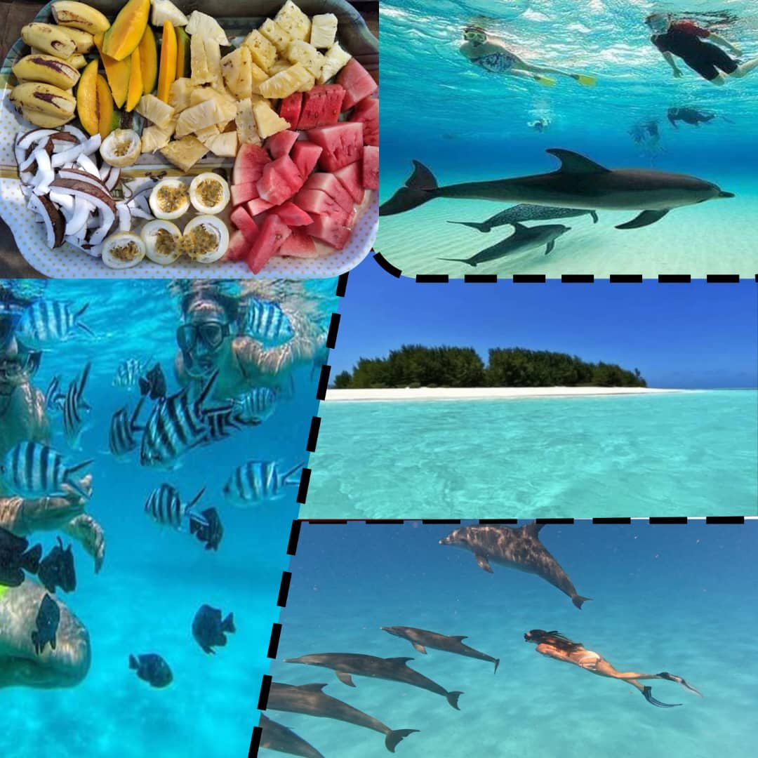 Swim with Dolphins & Snorkel at Mnemba