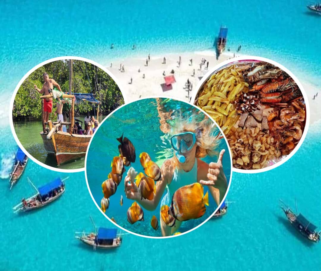 🌊 Safari Bluu: Zanzibar Marine Adventure