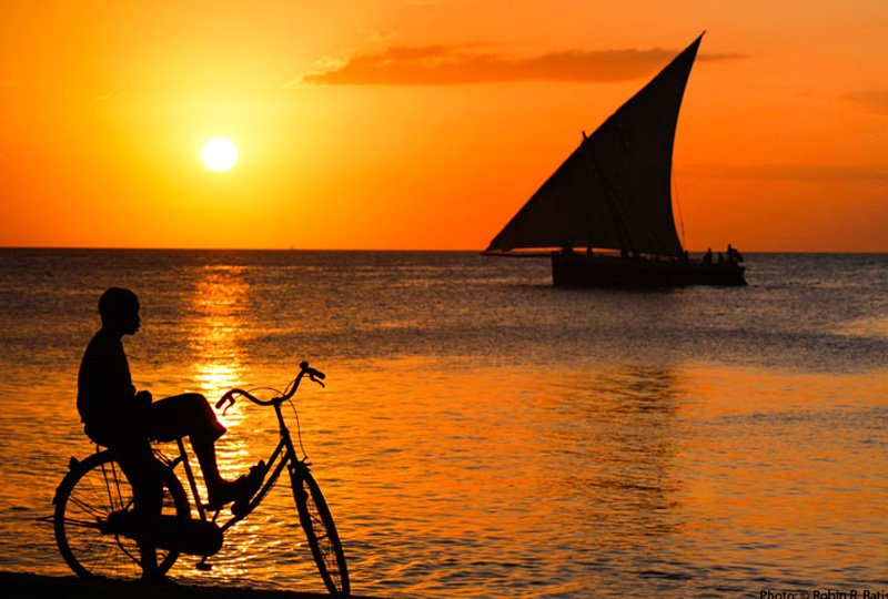 🌅 Sunset Dhow Cruise Experience