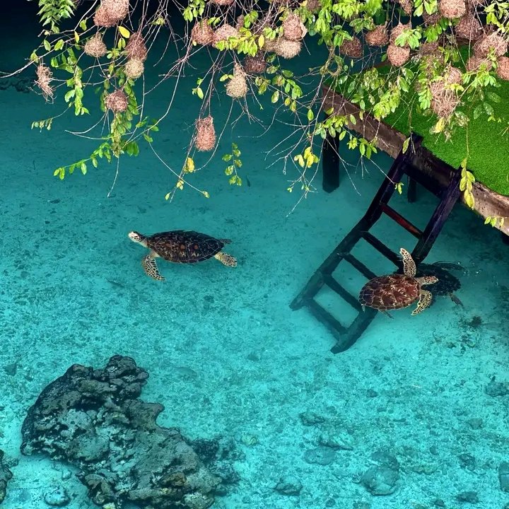 Discover Salam Cave – Kizimkazi